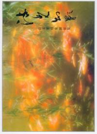 流光幻影(張五常印象攝影集)