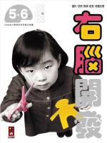 右腦開發：5.6歲