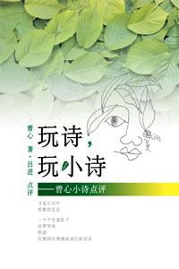 玩詩，玩小詩──曾心小詩點評（簡體版）