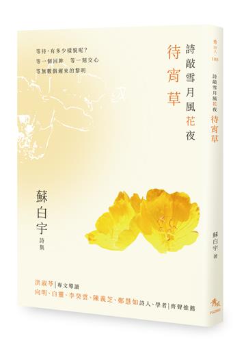 詩敲雪月風花夜．待宵草【蘇白宇新詩集01】