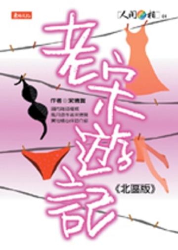 老宋遊記