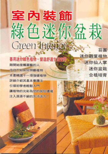 室內裝飾綠色迷你盆栽
