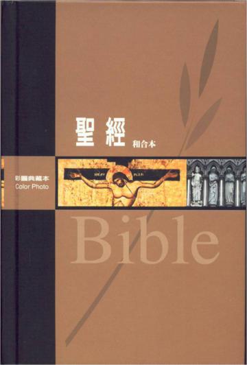 聖經：彩圖典藏本聖經