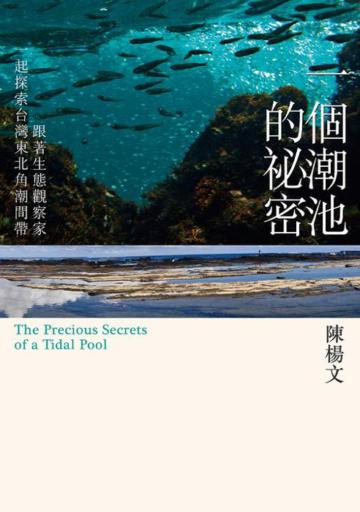 一個潮池的秘密：跟著生態觀察家一起探索台灣東北角潮間帶