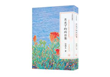 生命的感悟：月光下的向日葵