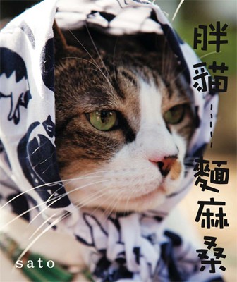 胖貓麵麻桑