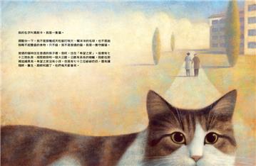 我是守護貓，我柔軟專注地陪伴病人