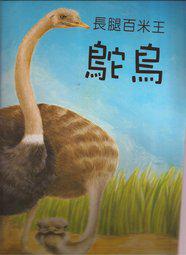 愛心森林系列繪本（全套5冊）