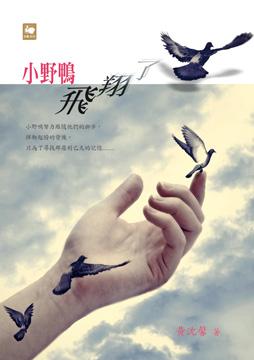 小野鴨飛翔了