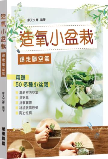 造氧小盆栽踢走髒空氣