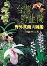 台灣野生蘭