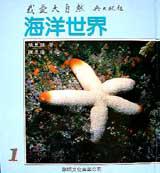 海洋世界