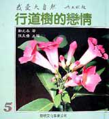 行道樹的戀情