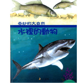 水裡的動物