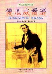 傻瓜威爾遜