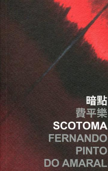 暗點 Scotoma