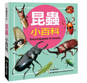 兒童百科（47）：昆蟲小百科（典藏新版）