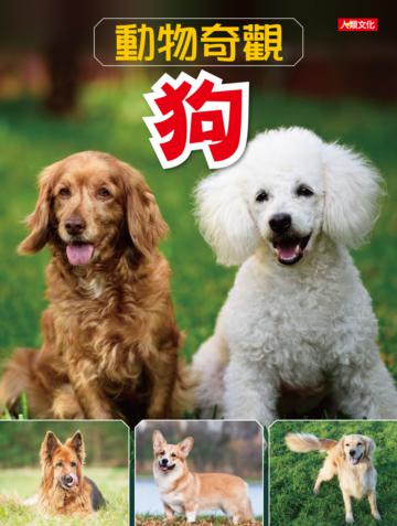動物奇觀：狗