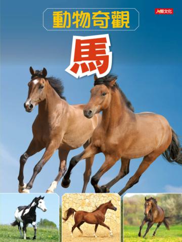 動物奇觀：馬