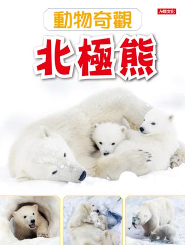 動物奇觀：北極熊