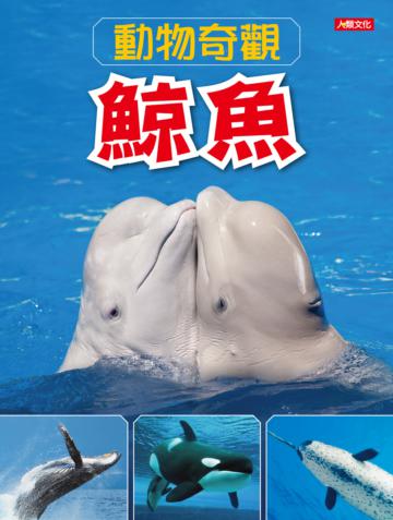 動物奇觀：鯨魚