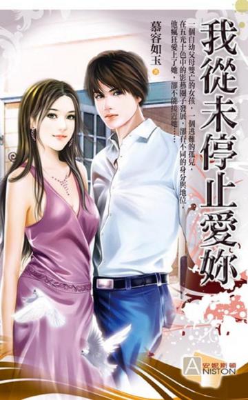 我從未停止愛妳