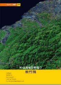 ImageART（8）：3D台灣地形特寫（2）桃竹苗