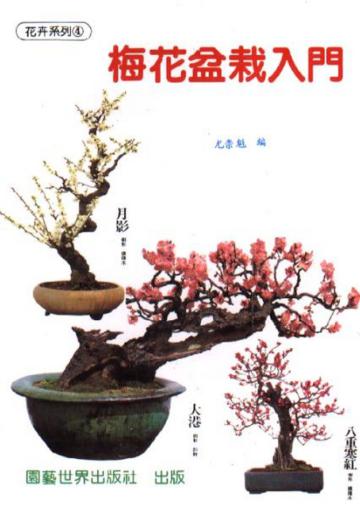梅花盆栽入門