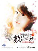 Photoshop 中文版數位婚紗相片精修與後期處理(附2DVD)