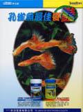 孔雀魚經典