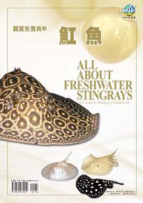 觀賞魚寶典（3）：魟魚
