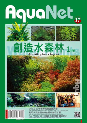 創造水森林1