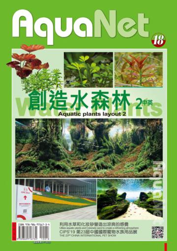 創造水森林2