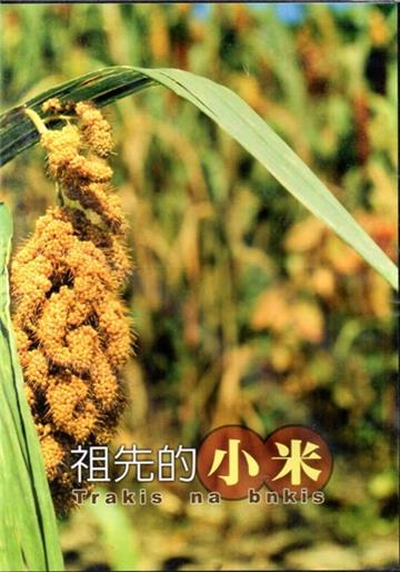 祖先的小米DVD