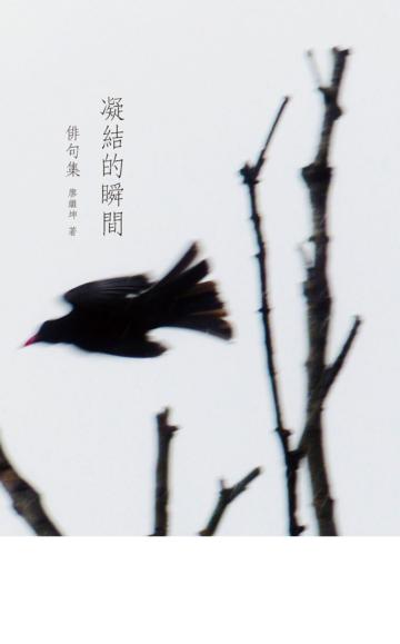 凝結的瞬間：俳句集