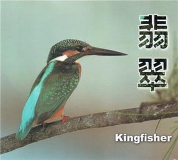 翡翠：金門翡翠科鳥類生態紀實