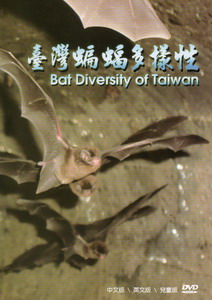 臺灣蝙蝠多樣性（光碟）