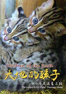 大地的孩子-小石虎返家之路[DVD]