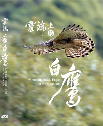 雲端上的白鷹DVD