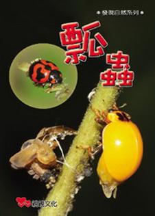 瓢蟲