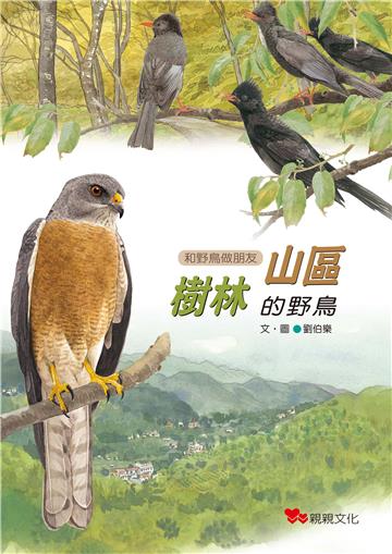 山區樹林的野鳥
