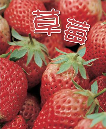 草莓