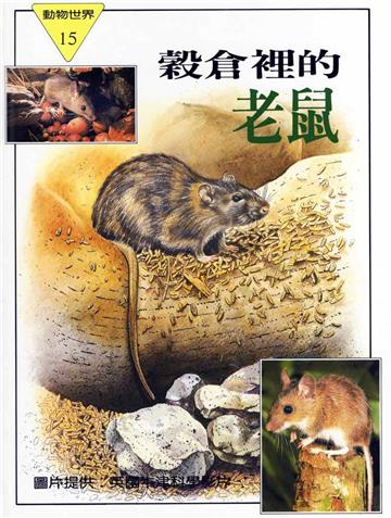動物世界#15 穀倉裡的老鼠