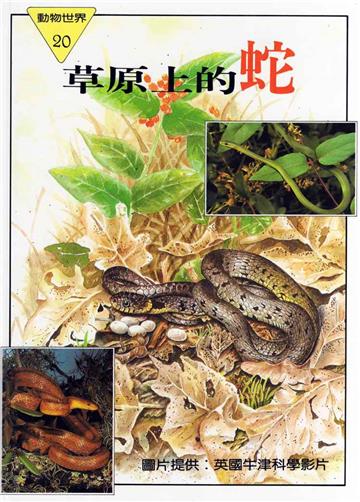 動物世界#20 草原上的蛇