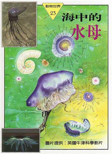 動物世界#23 海中的水母