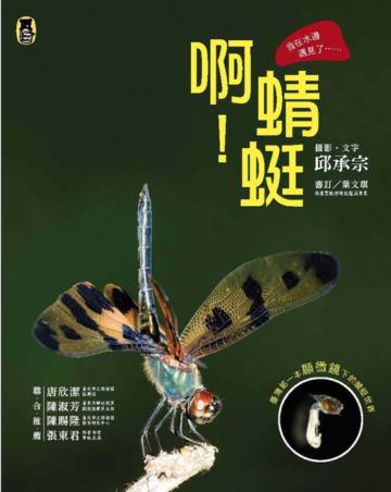 啊！蜻蜓
