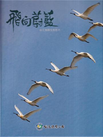 飛向蔚藍:台江鳥類生態影片[USB隨身碟]