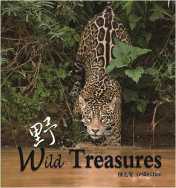 野 Wild Treasures（精裝）