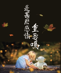 是甚麼感情重要嗎