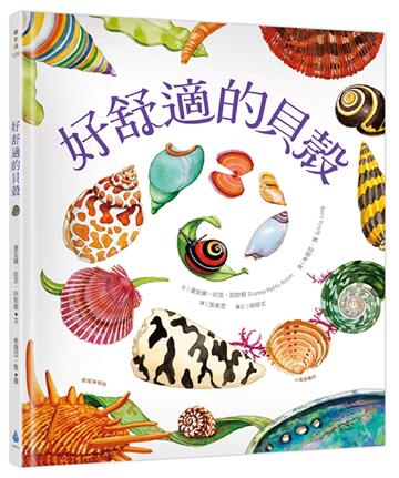 好舒適的貝殼